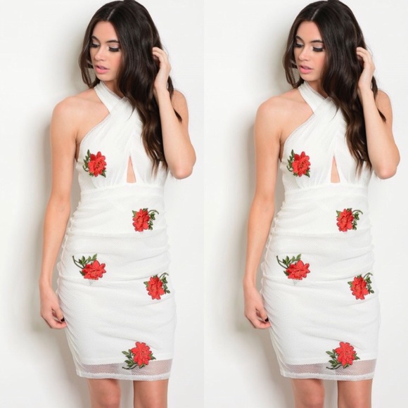 Dresses & Skirts - Red RoseHalter Ruched Mesh Dress